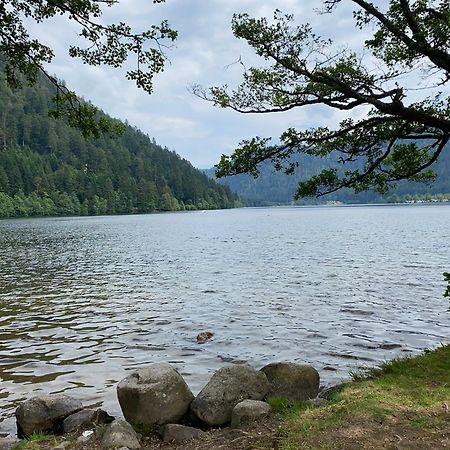 Charmant Chalet, Spacieux, Proche Du Lac, Vue Sur La Montagne Gerardmer Ngoại thất bức ảnh