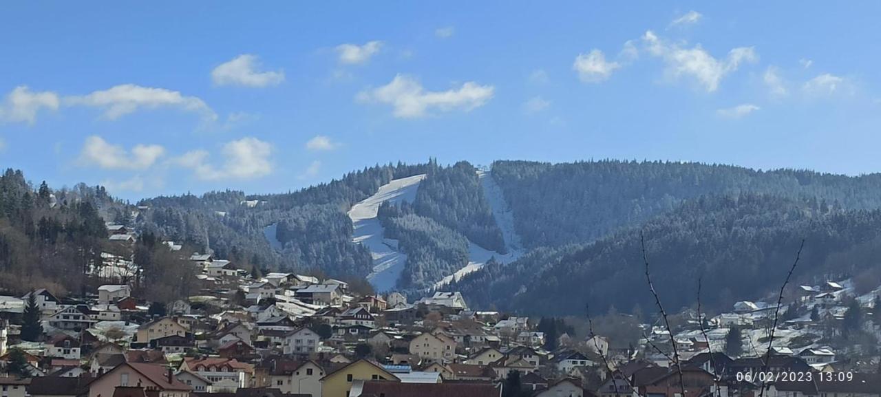 Charmant Chalet, Spacieux, Proche Du Lac, Vue Sur La Montagne Gerardmer Ngoại thất bức ảnh