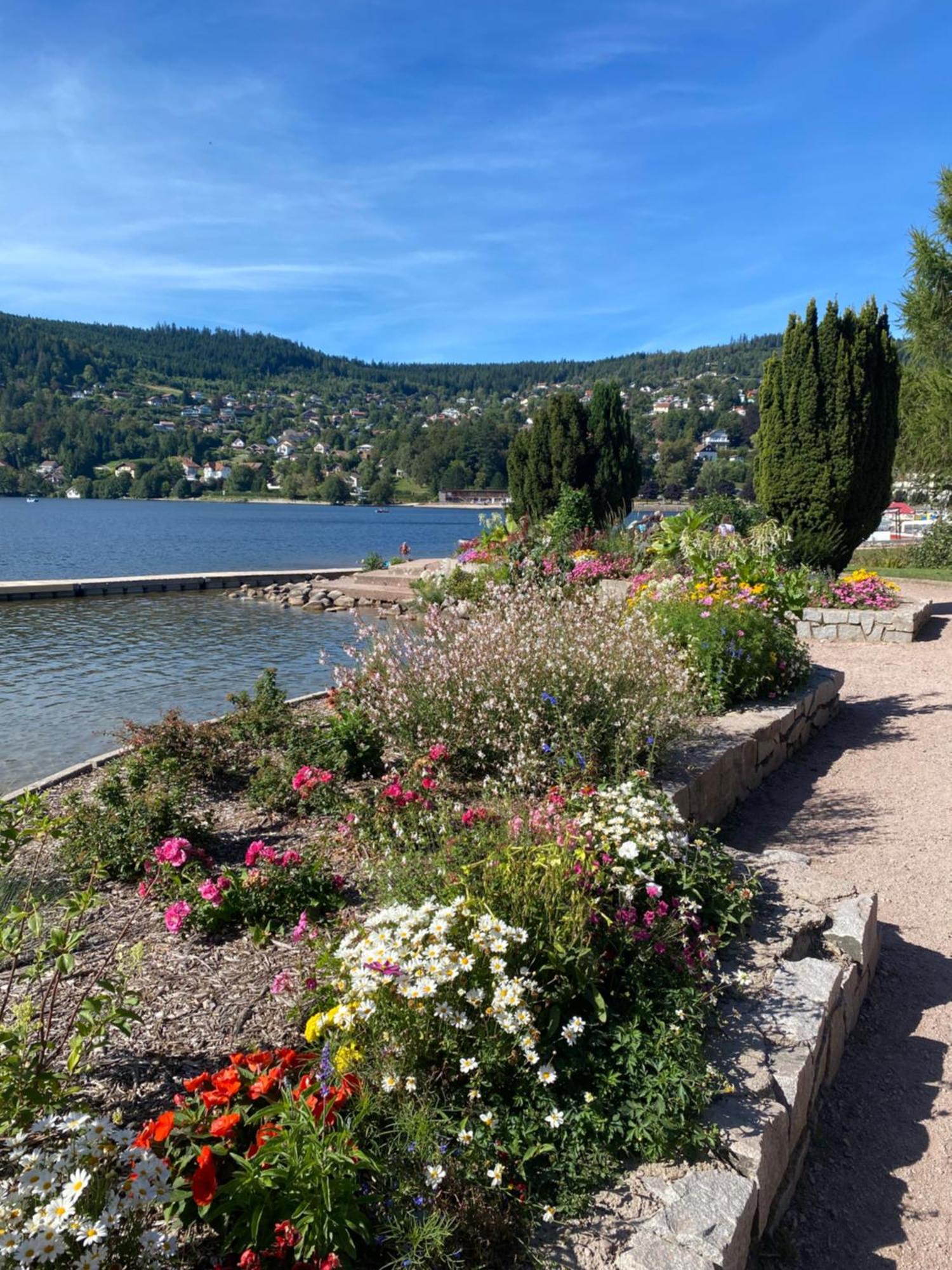 Charmant Chalet, Spacieux, Proche Du Lac, Vue Sur La Montagne Gerardmer Ngoại thất bức ảnh