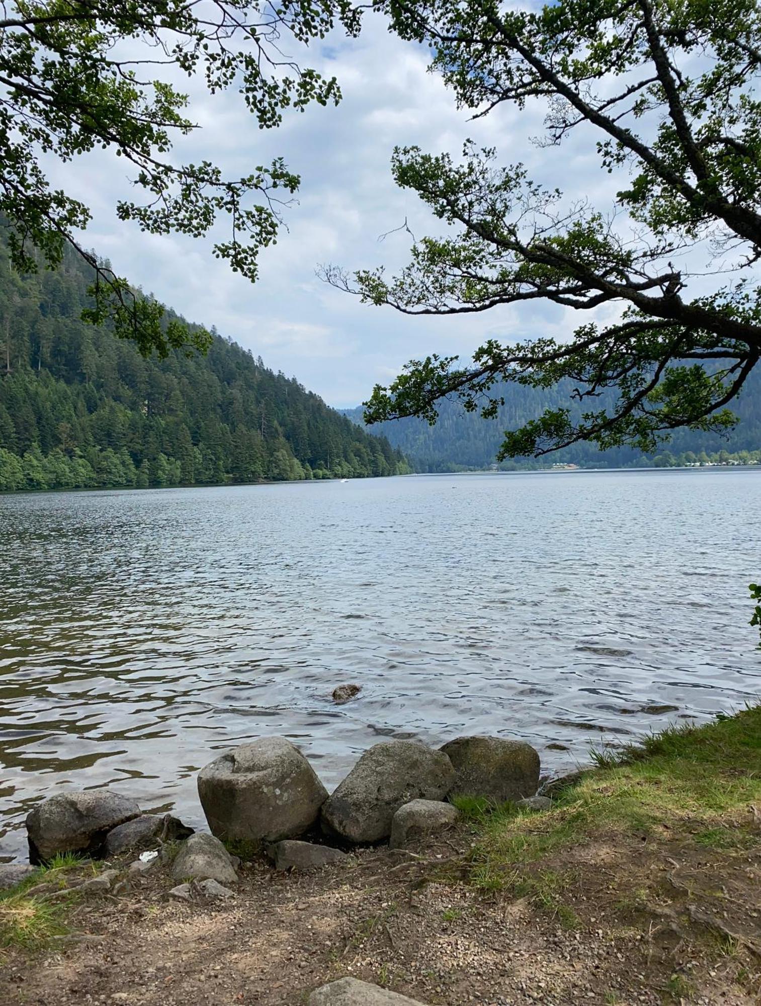 Charmant Chalet, Spacieux, Proche Du Lac, Vue Sur La Montagne Gerardmer Ngoại thất bức ảnh